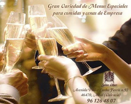 salon viher _broce 1